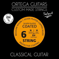 ORTEGA NYS44EH - Strings