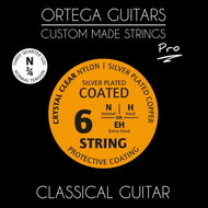 ORTEGA NYP34N - Strings