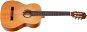 ORTEGA R122G - Klasická gitara