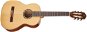 ORTEGA R121G-3/4 - Klasická gitara