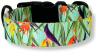 PafDog designový obojek pro psy FLOWERS - 2,5cm, velikost S - Dog Collar