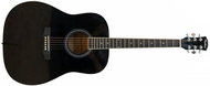 Pasadena SG028 Black - Acoustic Guitar