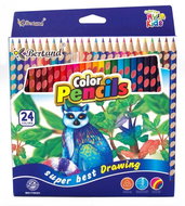 Bertand crayons triangular 24 colours - Coloured Pencils