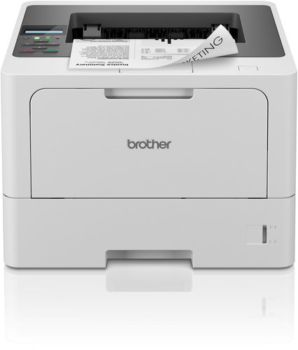 Brother HL-L5210DN - Laser Printer - Main image