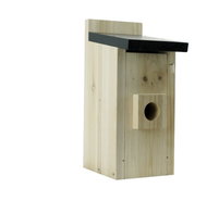 BOT Smart birdhouse with WiFi camera Tuya BH1 - Bird Feeder