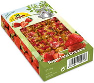 JR Farm Strawberry Table 125 g - Treats for Rodents
