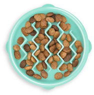 Outward Hound Fun Feeder Wave Slowing Bowl Mint / Small - Dog Bowl