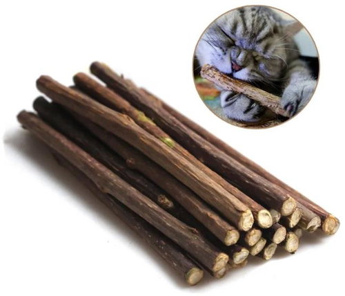 Benson Biting dental sticks for cats - matatabi - Cat Treats - Main image
