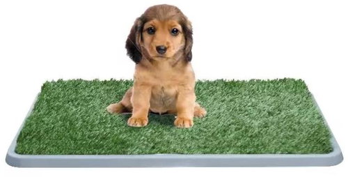 MDS Toilet for dogs XXL Potty Patch with grass - Dog Toilet - Main image