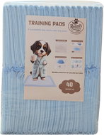Renni's choice Absorbent pads for dogs 60 × 60 cm - 40 pcs - Absorbent Pad