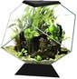 Aquarium Kit CIANO Aquarium Nexus Pure Diamond - Akvarijní set