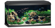 Juwel Primo 60 l, black - Aquarium Kit