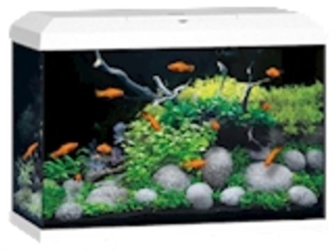 Juwel Primo 70 2.0, white - Aquarium Kit - Main image