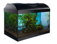 SICCE Aquarium Nautilus 80 l - Aquarium