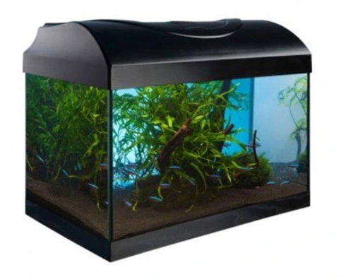 SICCE Aquarium Nautilus 80 l - Aquarium - Main image
