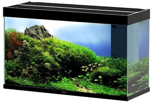 CIANO Aquarium Emotions Pro 100 Black - Aquarium Kit - Main image