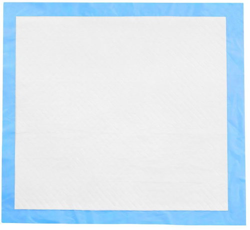 RETOO Absorbent Hygienic Pads 60 × 60cm, 100pcs - Absorbent Pad - Main image