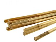 Altx TEAK Bambusová tyč malá 1 – 1,5 – 50 - Dekorácia do terária