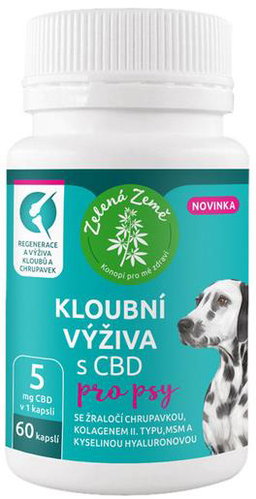 Green Earth CBD joint food for dogs 60 pcs - Joint Nutrition for Dogs - Main image
