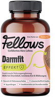 Fellows Darmfit Intestinal Comfort 200 g - Food Supplement for Dogs