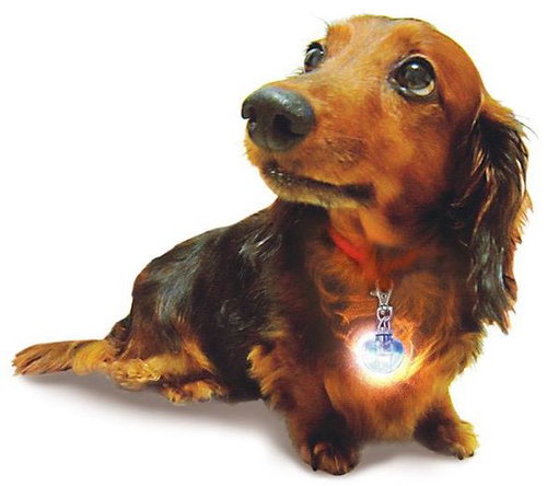 Japan Premium Glowing light pendant for evening and night walks - Collar Light - Main image