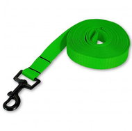 PafDog ultralight tracking leash flat with hand loop 20 mm, 15 m, light green - Leash