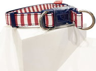 Japan Premium "English Style" with silicone protection, red, size SS - Dog Collar