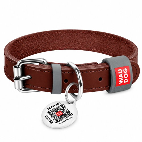Petproducts leather dog collar brown 46–60cm - Dog Collar - Main image