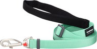 Red Dingo leash 15 mm × 1,8 m - pastel green - Leash