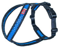 Tamer SOFTY black and blue, S 33-38 - Harness