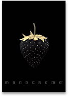 PIGNA Monocromo Gold A4, vonalas, véletlenszerű motívum - Füzet