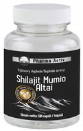 Shilait Mumio Altai 60 Capsules - Dietary Supplement