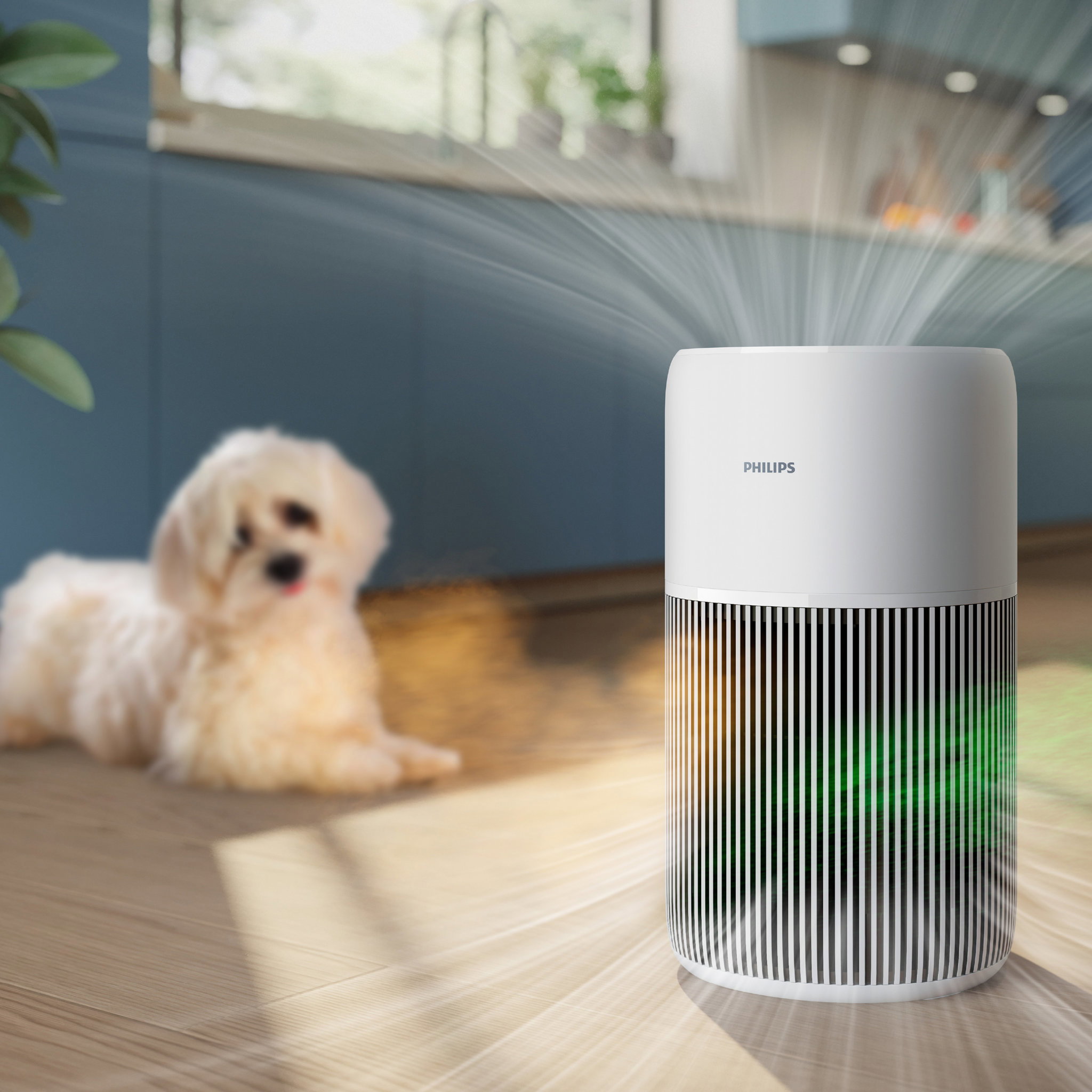 Philips 2200 Series AC2220/10 recenzia: silný výkon pre väčšie miestnosti 15 Philips 2200 Series – Ovládanie a režimy: pohodlie bez zbytočného nastavovania