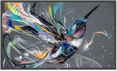 43" Philips 43BDL3511Q - Large-Format Display - Main image