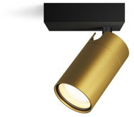 Philips Idris bodové koupelnové svítidlo 1× GU10 5 W bez zdroje IP44, černé/zlaté - Spot Lighting