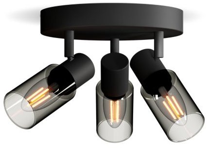 Philips Palms spotlight 3×E14 25W without bulb 20cm round IP20, black - Spot Lighting - Main image