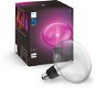 Philips Hue White and Color Ambiance Light Guide E27 Ellipse - LED izzó