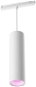 Philips Hue White and Color Ambiance Perifo függesztett lámpa, fehér - Mennyezeti lámpa