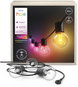 Lichterkette Philips Festavia Hue globe string 21m 30bulb - Světelný řetěz