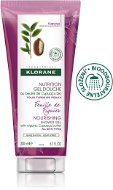 Klorane Shower Gel with Fig Leaves for Nutrition of All Skin Types 200ml - Shower Gel