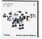 Pixio Black & White Animals Smart Magnetic - Building Set