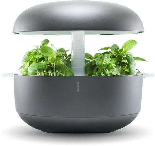 Plantui 6 Smart Garden, gray - Smart Flower Pot - Main image