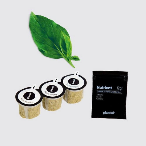 Plantui Thai Basil, 3 Capsules - Capsule - Main image