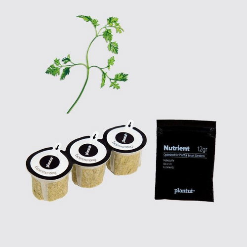 Plantui Chervil (French Parsley), 3 Capsules - Capsule - Main image