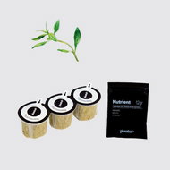 Plantui Summr Savory, 3 Capsules - Capsule