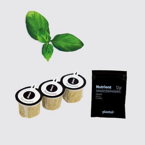 Plantui Basil Spicy, 3 Capsules - Capsule - Main image