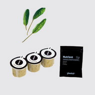 Plantui Bloody Sorrel, 3 Capsules - Capsule