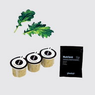Plantui Komatsuna (Japanese Mustard), 3 Capsules - Capsule