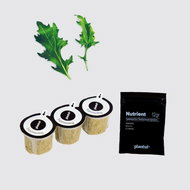 Plantui Mizuna (Japanese Spinach), 3 Capsules - Capsule