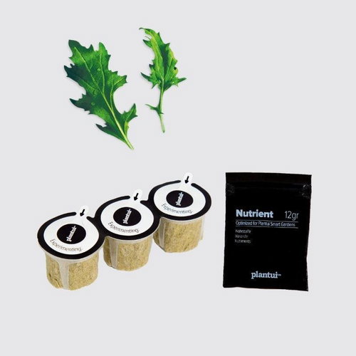 Plantui Mizuna (Japanese Spinach), 3 Capsules - Capsule - Main image